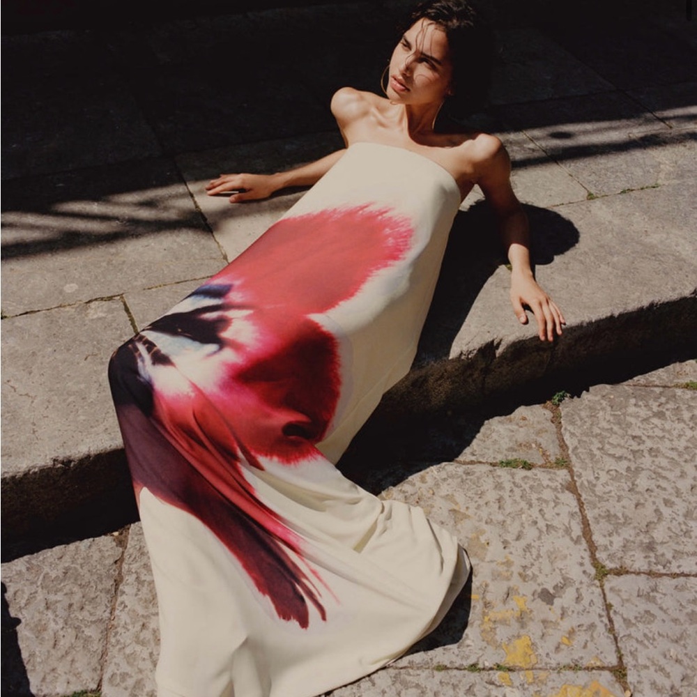 Rat & Boa Antheia dress nwt